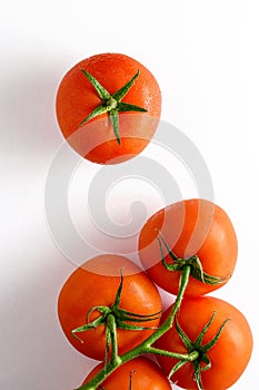 Fresh tomatoes on white background. Top view