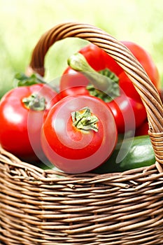 Fresh tomatoes in a wicker basket