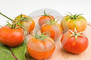 Fresh Tomatoes On Wooden Plate