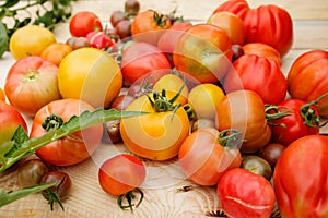 Fresh tomatoes on the wooden table. Village mess.