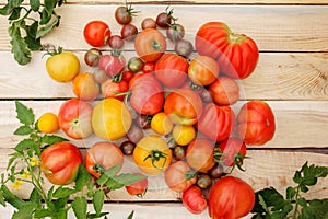 Fresh tomatoes on the wooden table. Village mess.