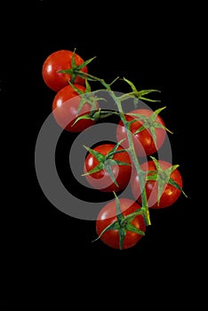 Fresh tomatos