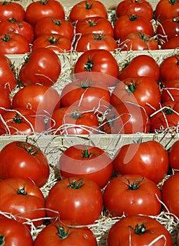 Fresh tomatos on a farm market stand