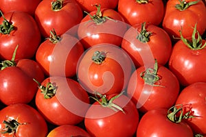 Fresco pomodori sul agricoltori il mercato 