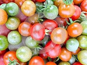 Fresh tomatos in row food concept