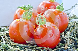 Fresh tometo with water drop