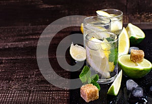 Fresh tonic water in the glass. With lemon, mint and lime.