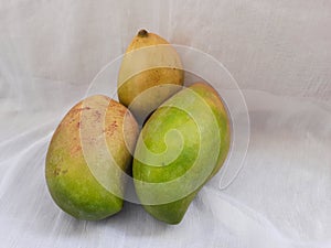 Fresh Totapuri or Gini Moothi Mangoes isolated on white background photo