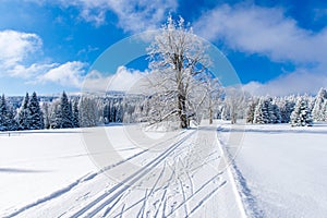 Fresh track for classic cross-country skis and cross-country skating