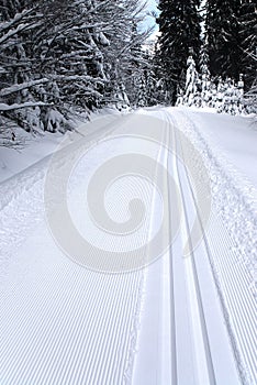 Fresh track for cross-country skiing