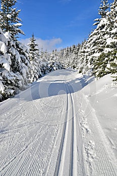 Fresh track for cross-country skiing