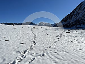 Fresh tracks on the season\'s first early autumn snow above the road pass Fluela (Fluelapass)