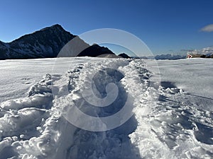 Fresh tracks on the season\'s first early autumn snow above the road pass Fluela (Fluelapass)