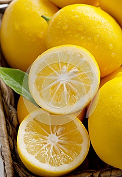 Fresh from Tree, Meyer Lemons in a Basket