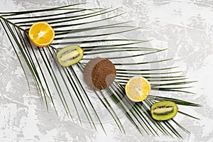 Fresh tropic fruits green kiwi, pineapples,oranges and cocnut on palm tree leaf on white background. Top view, flat lay