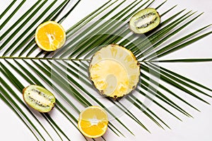 Fresh tropic fruits green kiwi, pineapples,oranges on palm tree leaf on white background. Top view, flat lay