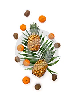 Fresh tropic fruits orange mandarines, green kiwi, pineapples on palm tree leaf on white background. Top view, flat lay