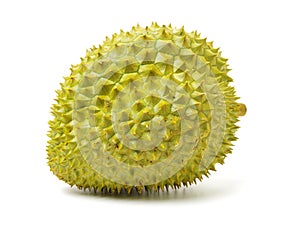 Fresh tropical durian fruit