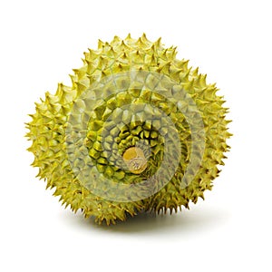 Fresh tropical durian fruit