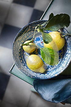 Fresh tropical lemons with green leaves on a twig photo