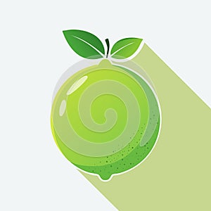 Fresh tropical lime fruit with soft glow, minimal design, and artistic composition, placed on a light background with gentle photo