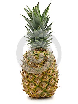fresh tropical ripe pineapple isolated on white background