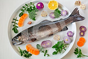 Fresh trout fish on a plate with vegetables and herbs for cooking
