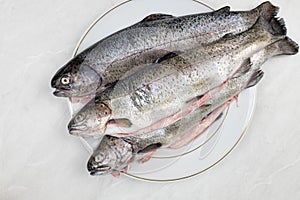 Fresh trout on the plate ready for preparing