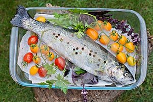 Fresh trout with vegetables