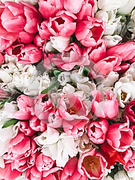 Fresh tulips flowers bouquets for sale. Beautiful background