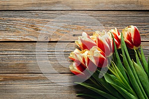 Fresh tulips on wooden background with space for text, flat lay.