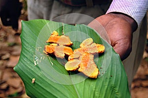 Fresh tumeric on a banana leaf, Spice tour, Zanzibar, Africa