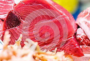 Fresh tuna fish on market display