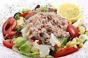 Fresh tuna salad photo