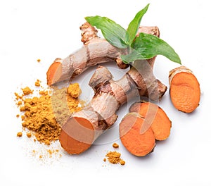 Fresh turmeric rhizome and turmeric powder isolated on white background