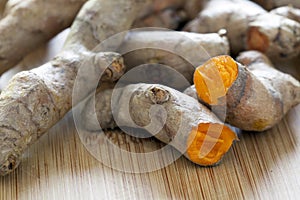 Fresh Turmeric Root photo