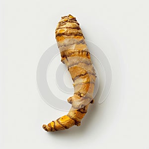 Fresh turmeric root isolated white background.