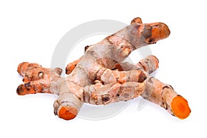 Fresh turmeric roots isolated on white background