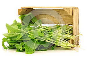 Fresh turnip tops (turnip greens)