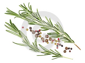 Fresh twigs of rosemary with red and black pepper isolated on white background