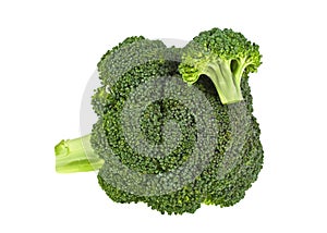 Fresh two green broccoli isolated on white background