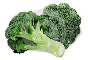 Fresh two green broccoli