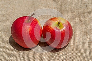 Fresh two red apples on natural sackcloth