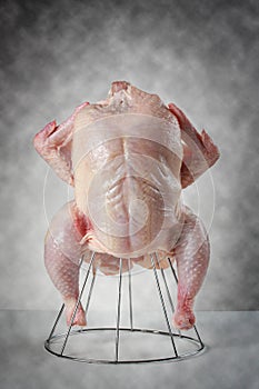 Fresh uncooked chicken photo