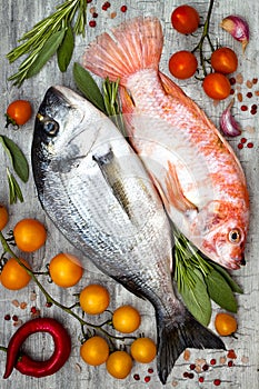 Fresh uncooked dorado or sea bream and red tilapia fish with lemon, aromatic herbs, vegetables and spices over grey background