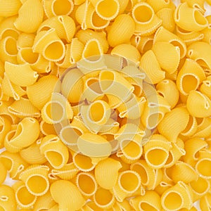 Fresh uncooked gold colored pasta