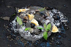 Fresh uncooked mussels with lemon, herbs and spices on chipped ice over dark slate stone backdrop