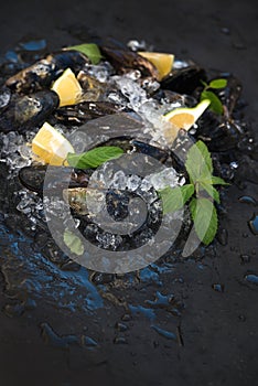 Fresh uncooked mussels with lemon, herbs and spices on chipped ice over dark slate stone backdrop