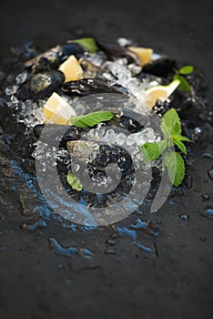 Fresh uncooked mussels with lemon, herbs and spices on chipped ice over dark slate stone backdrop