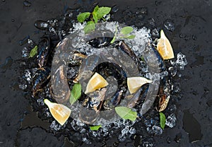 Fresh uncooked mussels with lemon, herbs and spices on chipped ice over dark slate stone backdrop